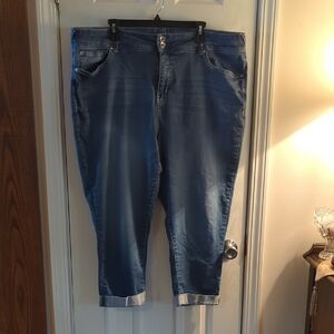 Wallflower Blue Cropped Jeans